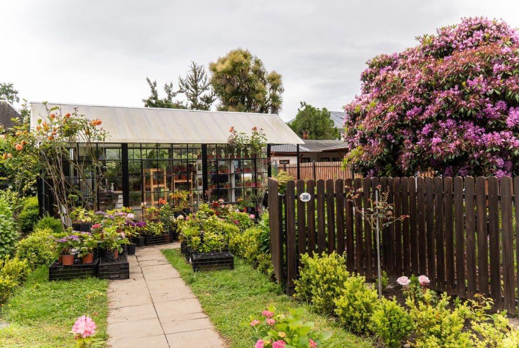 A greenhouse in a little German village in Chile surrounded by flowering trees and gardens.
