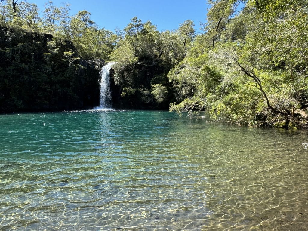 A small waterfall spilling into a clear turquoise pool, surrounded by trees.