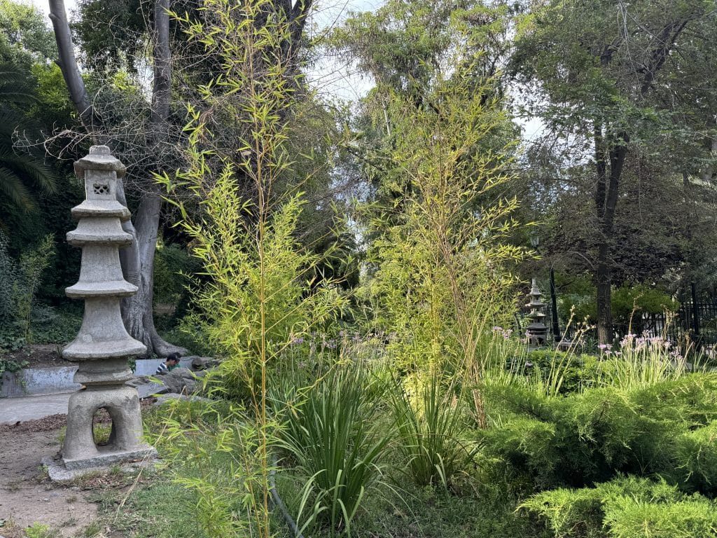 A Japanese garden in Santiago, with a small stone pagoda next to some plants.