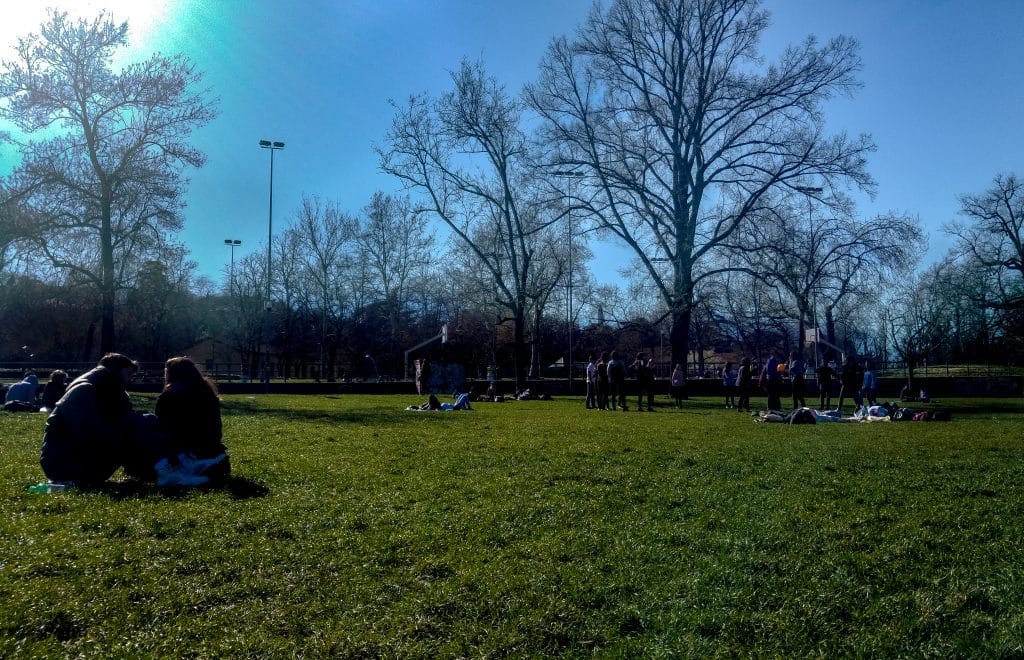 A few people sitting on the grass in a big park.