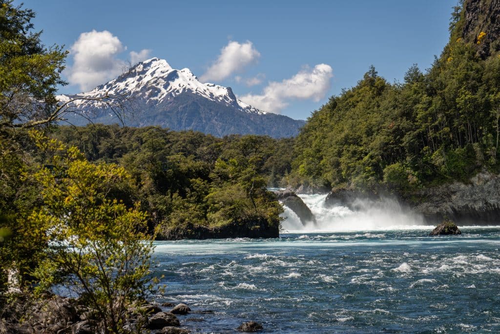 A mountain rising up behind a rushing river surrounded by forest.