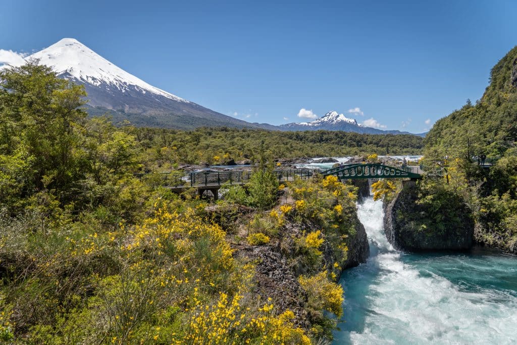 A rushing waterfall with bright teal water. It's surrounded by cliffs topped with yellow flowers, and in the background, a conical snow-capped volcano.