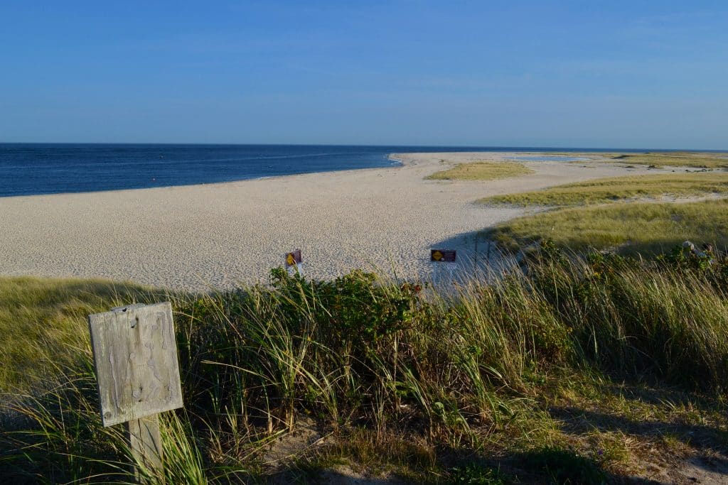 A soft sand beach on Cape Cod edged with thick green sand dunes.