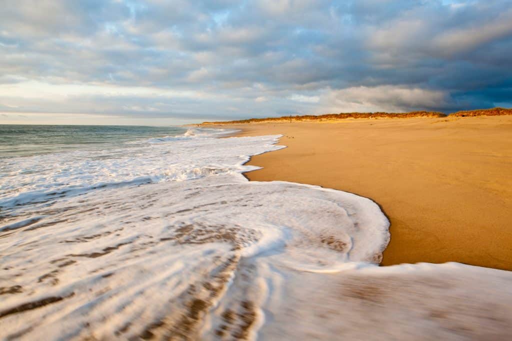 A close-up of a frothy white wave on a golden beach in Cape Cod.