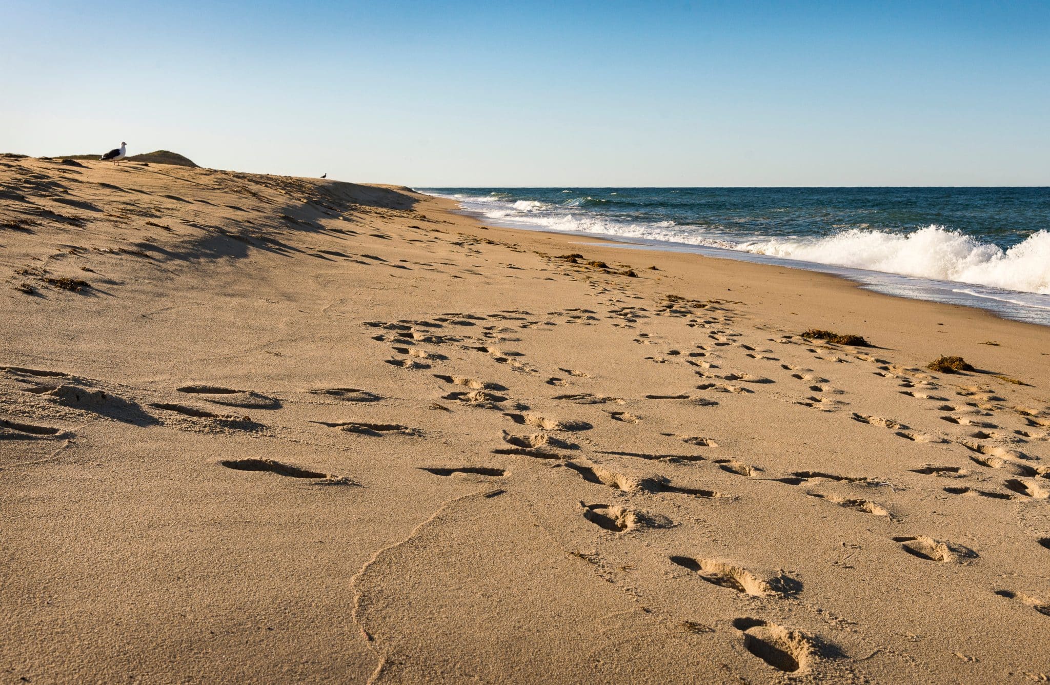 31 Best Beaches on Cape Cod (with something for everyone!)
