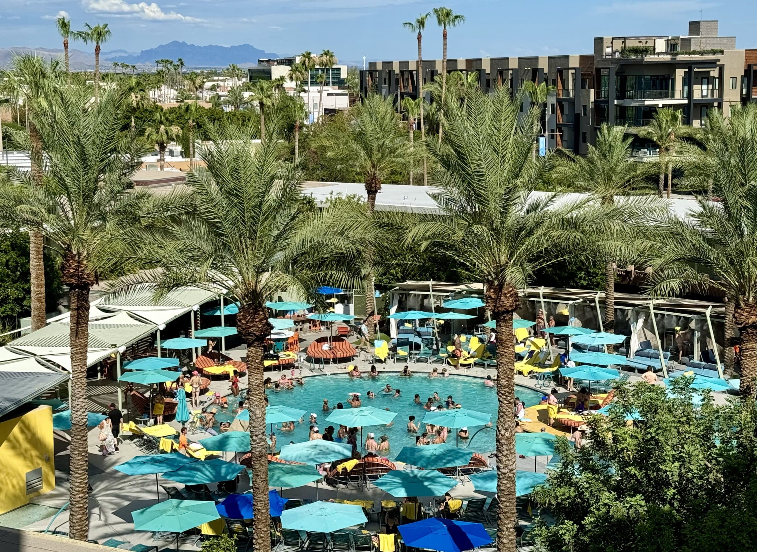 View from the top of the Hotel Valley Ho, overlooking a circular pool surrounded by lots of palm trees.