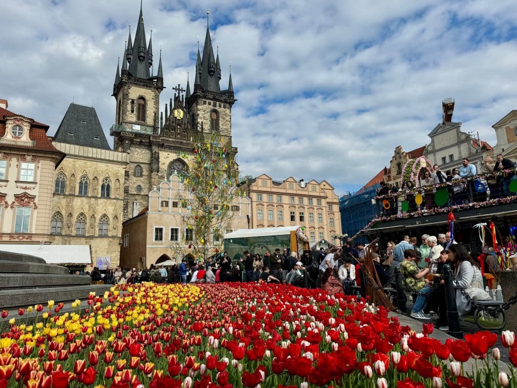 The big Ten church on Prague's old town square, with a big field of yellow and red tulips in front of it.