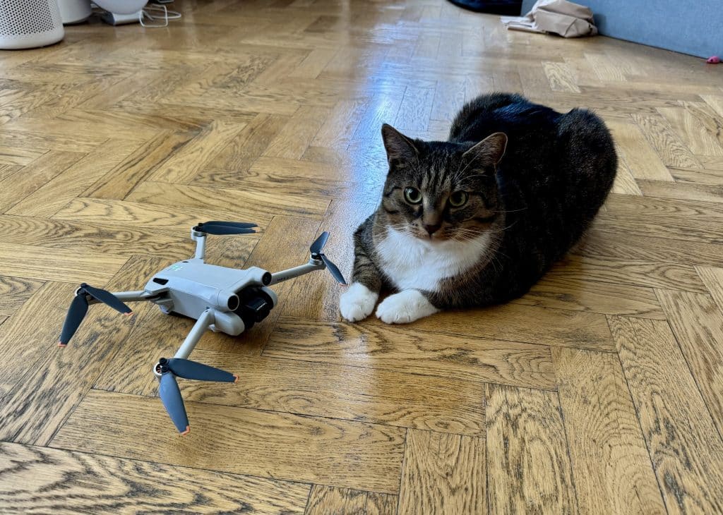 Murray the gray tabby cat sitting next to a drone, looking curiously at it.