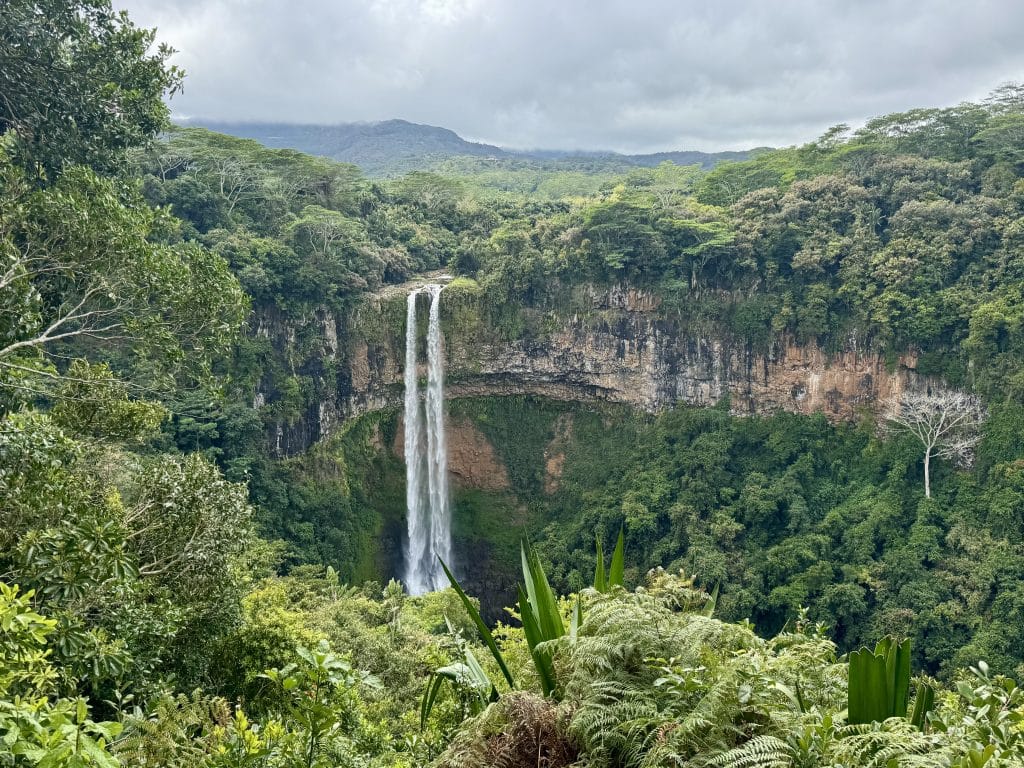 A two-tiered waterfall in the middle of a lush jungle.