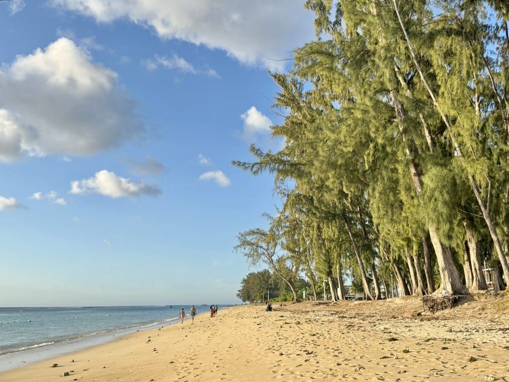 A long, sandy beach edged with super-tall palm trees underneath a blue sky with big fluffy clouds.