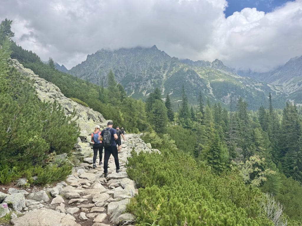 Hikers on a stone-cut path that edges the side of a forested mountain.