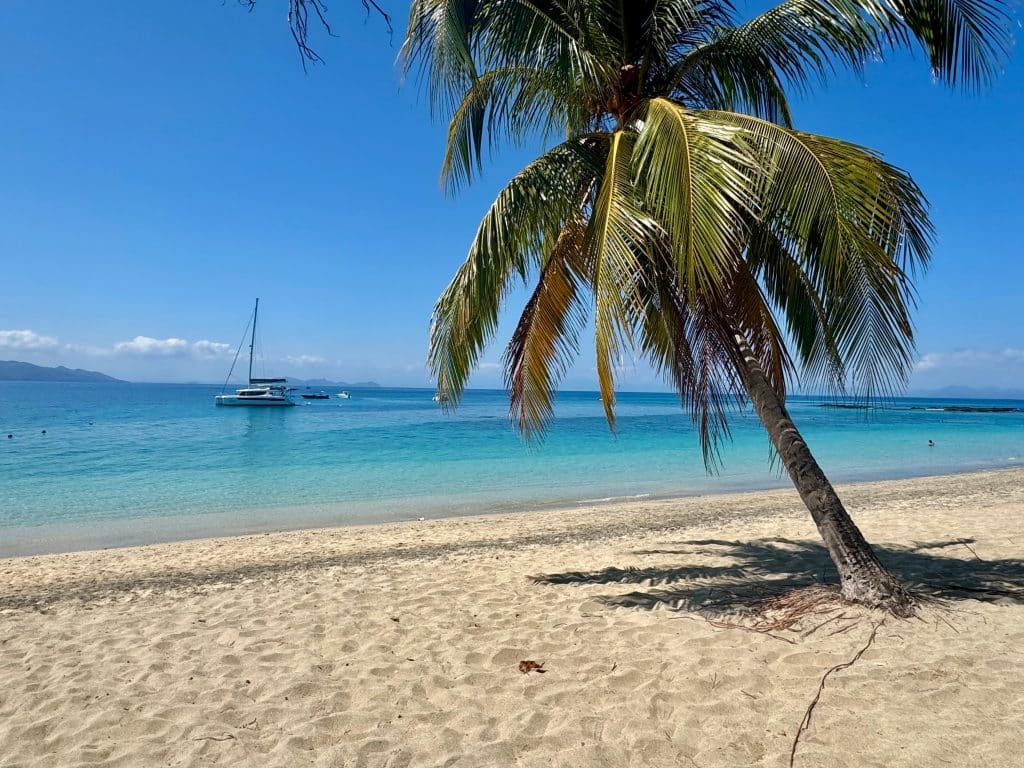 A tropical. beach with calm, bright blue water, and a solitary palm tree on shore.