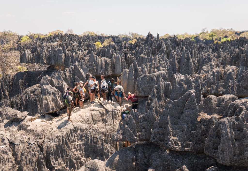 The rock forest of the Grand Tsingy, with a small group of people hiking on it that makes them look so small by comparison.