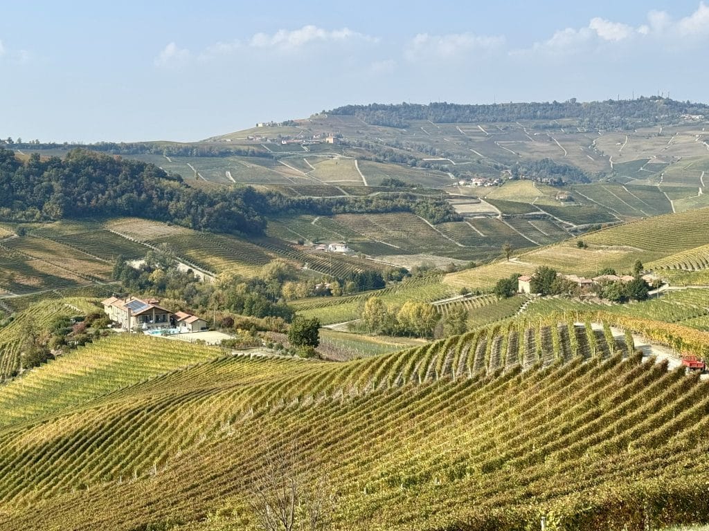 Endless vineyards on Italian hills, tinted gold in the fall.