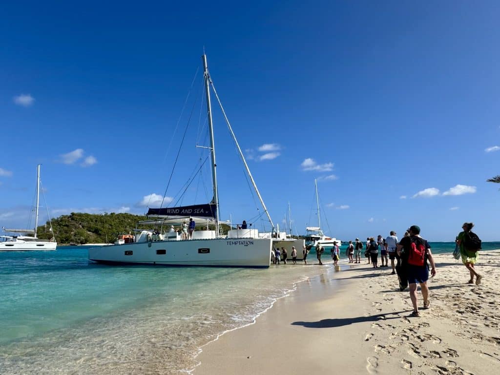 A group of people on a beach walking toward a catamaran.