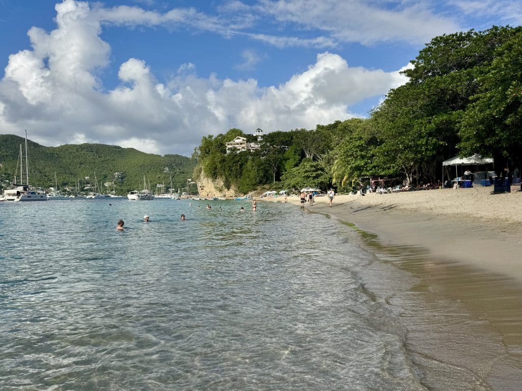 A pristine Caribbean beach edged with lots of leafy trees.