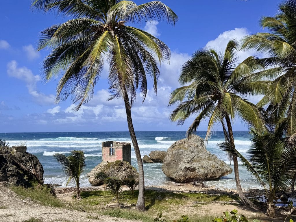 Palm trees and a shack on a windswept beach in Barbados.