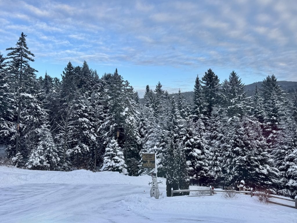Snowy trees underneath an early morning blue sky with clouds in Vermont.
