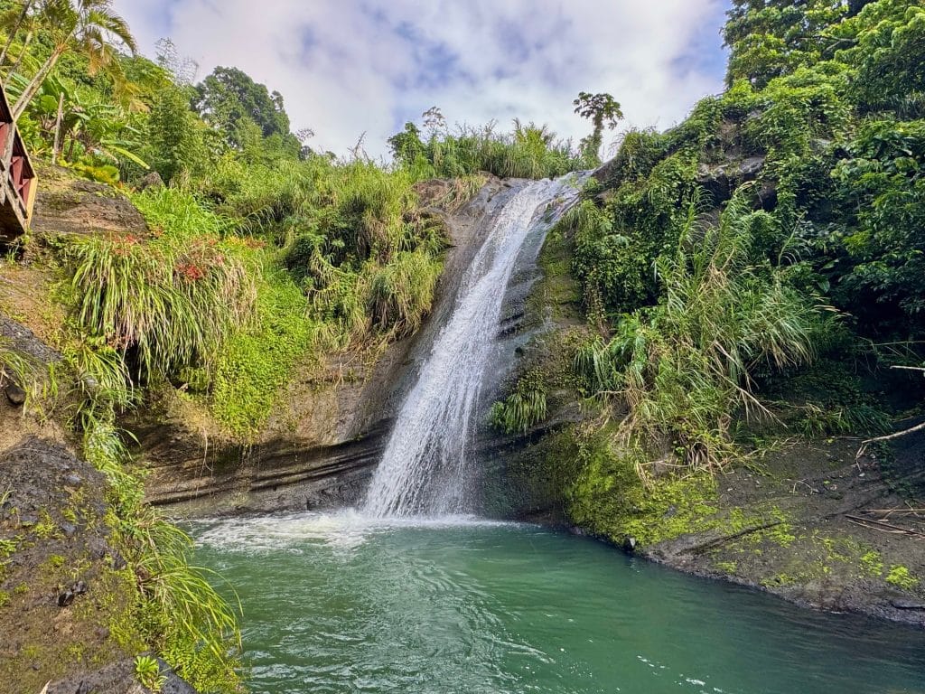 A tall waterfall spilling into a green pool, surrounded by greenery.