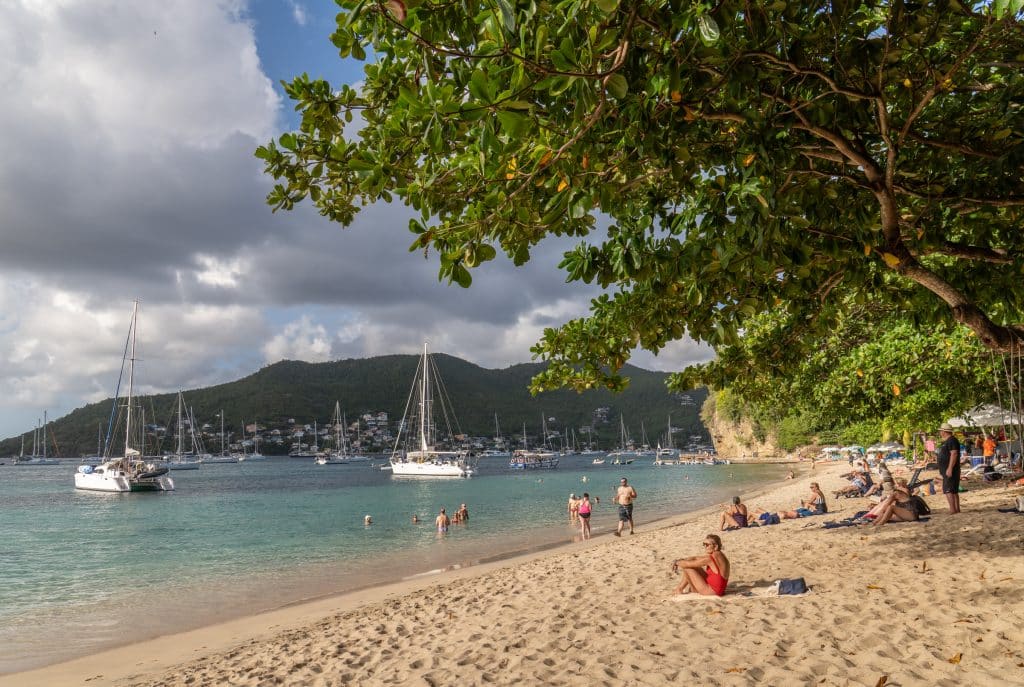A golden sand beach next to calm turquoise water with lots of sailboats in it. There are several lush trees offering shade.