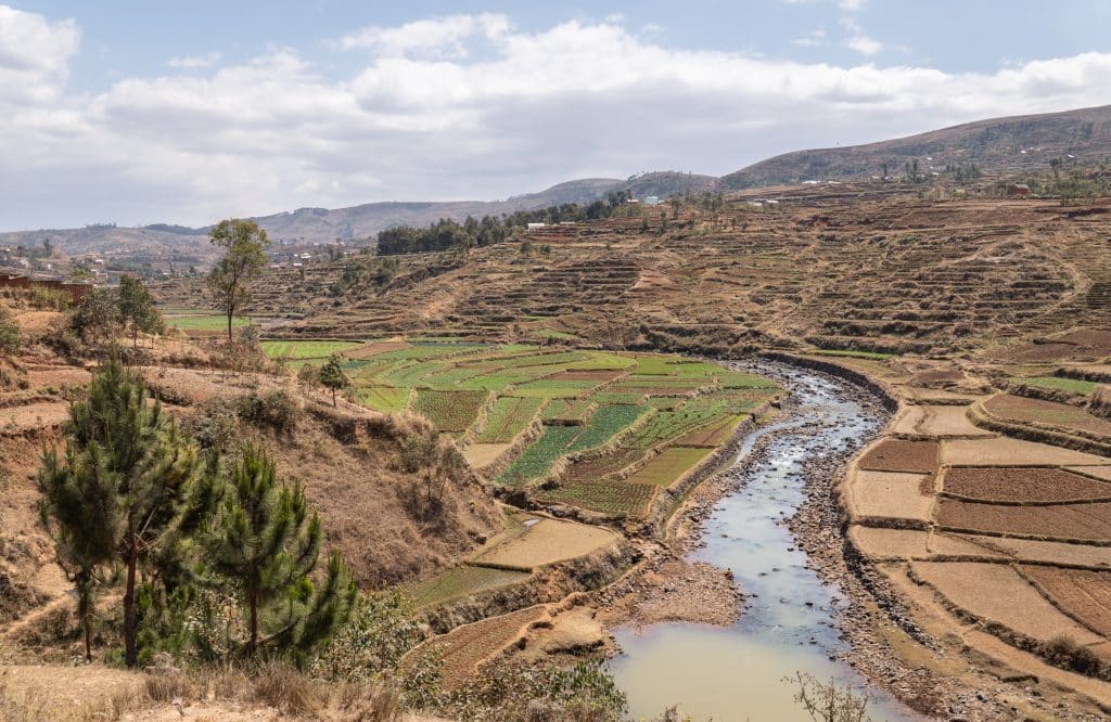 A river running through a mountainous brown landscape, and next to the river are rectangular rice paddies in various shades of green.