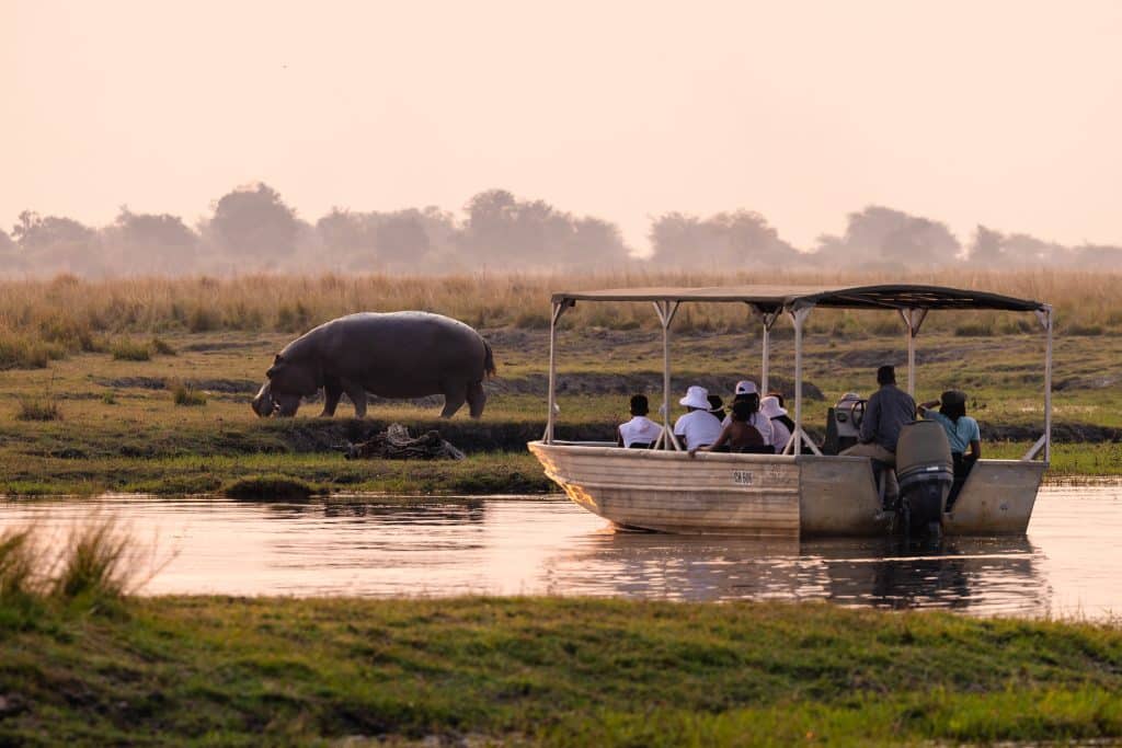 A small boat on a river sidling up to a rhino drinking from water in Botswana.