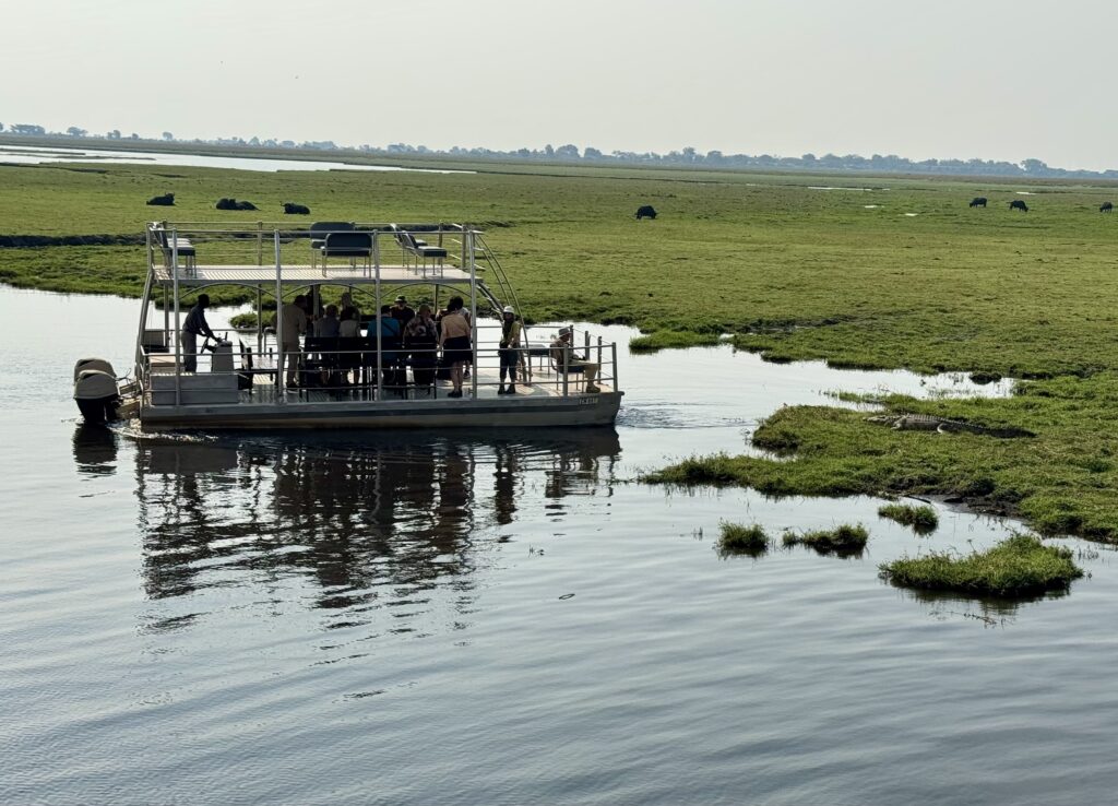 A small boat on the edge of an island in Chobe, Botswana, where a crocodile is sunning himself on shore.