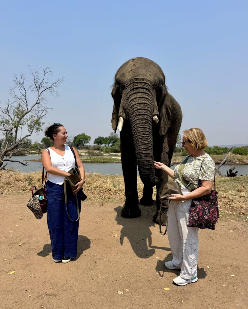 Kate and her mom standing next to an elephant and feeding her peanuts from a bag.